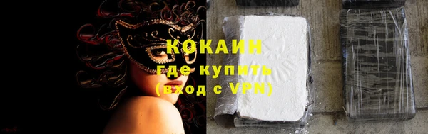 шишки Володарск