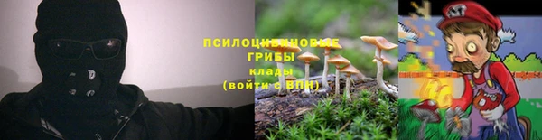 молекула духа Волосово