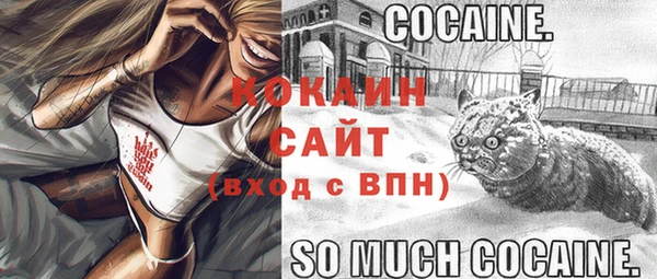 шишки Володарск