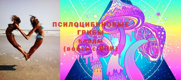 молекула духа Волосово